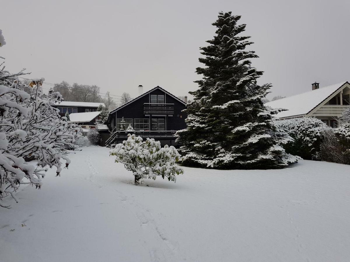 Peak Apartments Voss Екстериор снимка